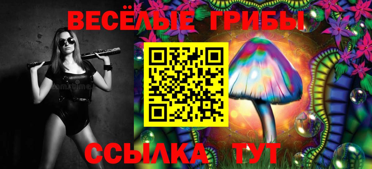 Галлюциногенные грибы прущие грибы  Галлюциногенные грибы Cubensis  Вход с VPN  Лесной 